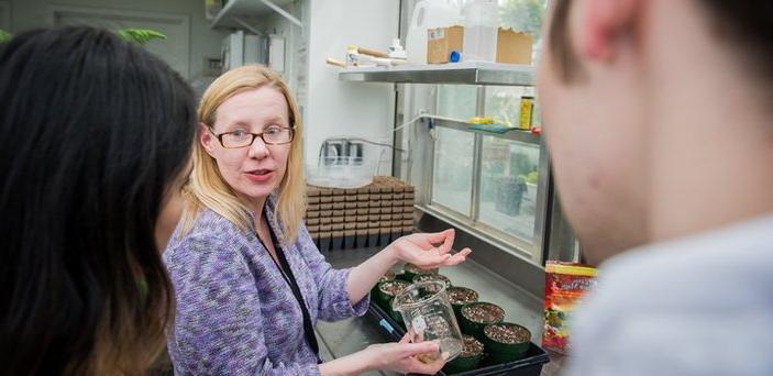 Professor with students in greenhouse holding a beaker over pots of soil